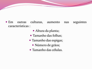  Em outras culturas, aumento nas seguintes
características :
 Altura da planta;
 Tamanho das folhas;
 Tamanho das espigas;
 Número de grãos;
 Tamanho das células.
 