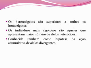  Os heterozigotos são superiores a ambos os
homozigotos.
 Os indivíduos mais vigorosos são aqueles que
apresentam maior número de alelos heteróticos.
 Conhecida também como hipótese da ação
acumulativa de alelos divergentes.
 