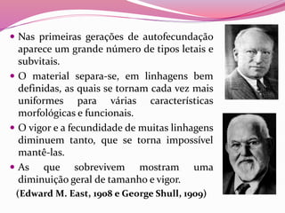  Nas primeiras gerações de autofecundação
aparece um grande número de tipos letais e
subvitais.
 O material separa-se, em linhagens bem
definidas, as quais se tornam cada vez mais
uniformes para várias características
morfológicas e funcionais.
 O vigor e a fecundidade de muitas linhagens
diminuem tanto, que se torna impossível
mantê-las.
 As que sobrevivem mostram uma
diminuição geral de tamanho e vigor.
(Edward M. East, 1908 e George Shull, 1909)
 