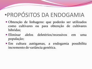 •PROPÓSITOS DA ENDOGAMIA
 Obtenção de linhagens: que poderão ser utilizados
como cultivares ou para obtenção de cultivares
híbridas;
 Eliminar alelos deletérios/recessivos em uma
população;
 Em cultura autógamas, a endogamia possibilita
incremento de variância genética.
 