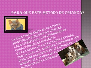 PARA QUE ESTE METODO DE CRIANZA?

 