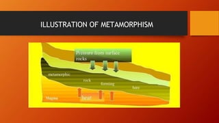 ILLUSTRATION OF METAMORPHISM
 