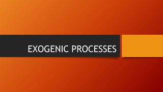 EXOGENIC PROCESSES
 