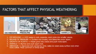 FACTORS THAT AFFECT PHYSICAL WEATHERING
1. ICE WEDGING ~>H2O seeps in rock, expands, crack rocks into smaller pieces.
2. RELEASE OF PRESSURE ~>Surface rock erodes, rock flakes like onion layers.
3. GROWTH OF PLANTS ~>Roots grow into cracks and push rocksapart.
4. ANIMALS ~>Burrow and push apart rock.
5. ABRASION ~>Sand and rock carried by wind, water
,ice wears away surface rock when
rocks collide. Most common in windy areas
 