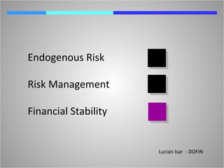 Endogenous Risk Risk Management Financial Stability  Lucian Isar  - DOFIN 