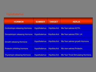 HORMON SUMBER TARGET KERJA
Corticotropic releasing Hormone Hypothalamus Hipofisis Ant Mekan sekresi ACTH.
Gonadotropin releasing Hormone Hypothalamus Hipofisis Antr Mekan sekresi FSH, LH
Growth releasing Hormone Hypothalamus Hipofisis Ant Mekan sekresi growth Hormone
Prolactin inhibiting hormone Hypothalamus Hipofisis Ant Mekan sekresi Prolactin.
Thyrotropin releasing Hormone Hypothalamus Hipofisis Ant Mekan Tiroid Stimulating Hormone.
Hypothalamus
 