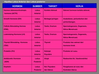 Pengeluaran air susu dan
Kontraksi Uterus.
Kel. Payudara
dan Uterus
Lobus
Posterior
Oxytosin
Reabsorbsi Air, Vasokonstriksi
Ginjal
Lobus
Posterior
Antidiuretic Hormone
(ADH)
Produksi air susu.
Kelenjar
Payudara
Lobus
Anterior
Prolaktin (Prl)
Produksi dan sekresi dari
hormone tiroid
Thyroid
Lobus
Anterior
Thyroid Stimulating Hormone
(TSH)
Spermatogenesis, Oogenesis,
Siklus Menstruasi.
Testis, Ovarium
Lobus
Anterior
Luteineizing Hormone (LH)
Spermatogenesis, Oogenesis,
Siklus Menstruasi.
Testis, Ovarium
Lobus
Anterior
Follicle Stimulating Hormoe
(FSH).
Anabolisme, pertumbuhan dan
perkembangan.
Berbagai jaringan
Lobus
Anterior
Growth Hormone (GH)
Sekresi hormone korteks adrenal.
Korteks Adrenal
Lobus
Anterior
Hormon Adrenocorticotropic
hormone (ACTH)
KERJA
TARGET
SUMBER
HORMON
Hipofise Lobus Anterior dan Lobus posterior
 