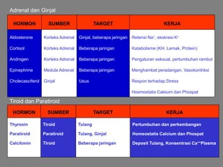Retensi Na+, ekskresi K+
Katabolisme (KH, Lemak, Protein)
Pengaturan seksual, pertumbuhan rambut
Menghambat peradangan, Vasokontriksi
Respon terhadap Stress
Hoemostatis Calsium dan Phospat
Ginjal, beberapa jaringan
Beberapa jaringan
Beberapa jaringan
Beberapa jaringan
Usus
Korteks Adrenal
Korteks Adrenal
Korteks Adrenal
Medula Adrenal
Ginjal
Aldosterone
Cortisol
Androgen
Epinephrine
Cholecasciferol
KERJA
TARGET
SUMBER
HORMON
Adrenal dan Ginjal
Pertumbuhan dan perkembangan
Homeostatis Calcium dan Phospat
Deposit Tulang, Konsentrasi Ca++Plasma
Tulang
Tulang, Ginjal
Beberapa jaringan
Tiroid
Paratiroid
Tiroid
Thyroxin
Paratiroid
Calcitonin
KERJA
TARGET
SUMBER
HORMON
Tiroid dan Paratiroid
 