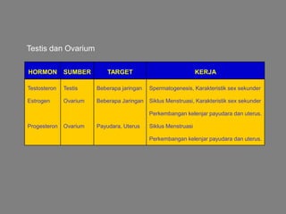 HORMON SUMBER TARGET KERJA
Testosteron
Estrogen
Progesteron
Testis
Ovarium
Ovarium
Beberapa jaringan
Beberapa Jaringan
Payudara, Uterus
Spermatogenesis, Karakteristik sex sekunder
Siklus Menstruasi, Karakteristik sex sekunder
Perkembangan kelenjar payudara dan uterus.
Siklus Menstruasi
Perkembangan kelenjar payudara dan uterus.
Testis dan Ovarium
 
