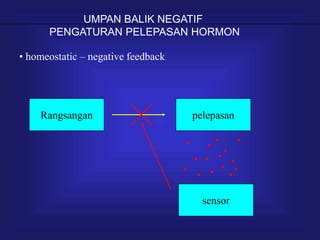 pelepasan
sensor
UMPAN BALIK NEGATIF
PENGATURAN PELEPASAN HORMON
• homeostatic – negative feedback
Rangsangan
 