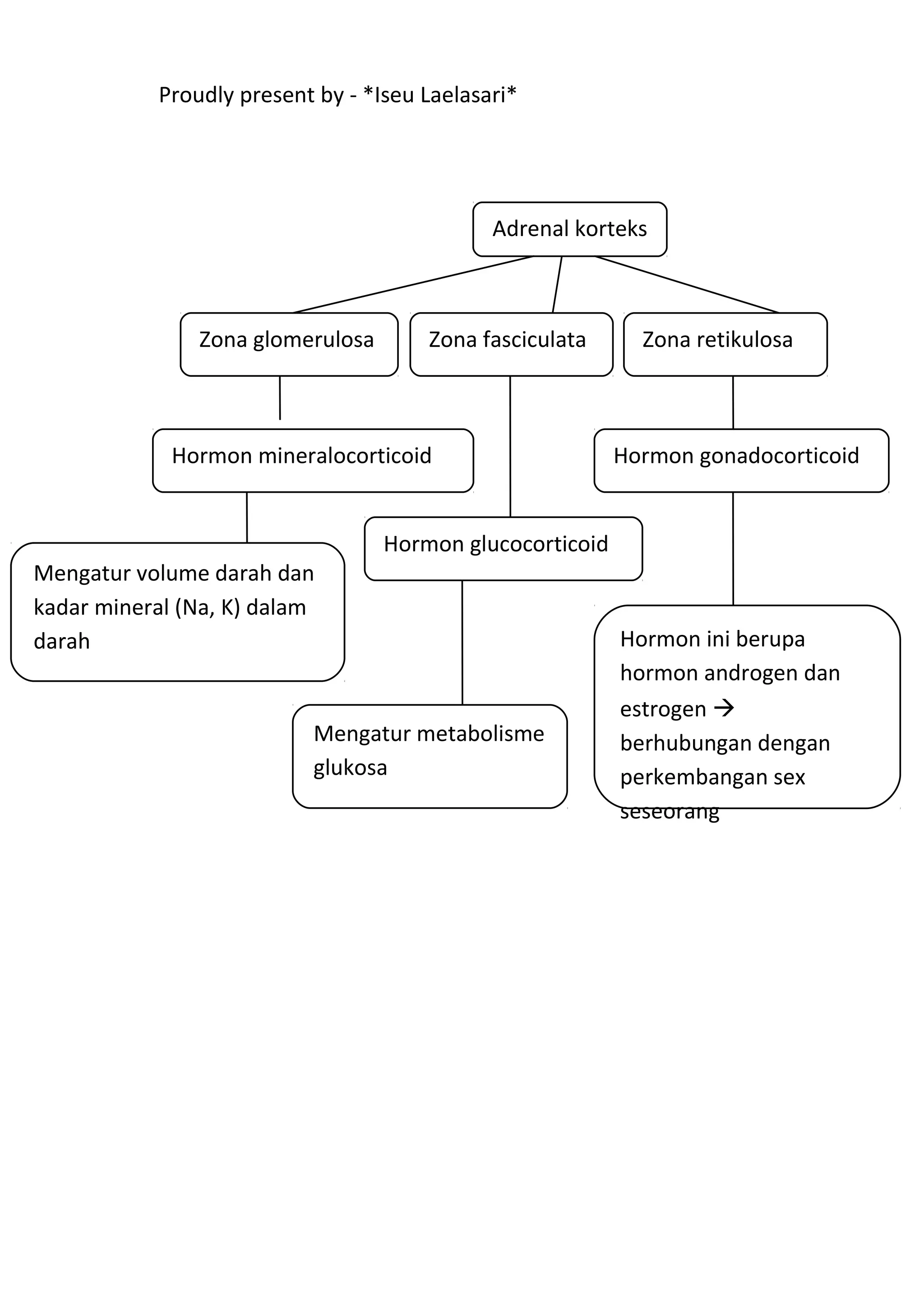 Proudly present by - *Iseu Laelasari*




                                              Adrenal korteks



                Zona glomerulosa       Zona fasciculata      Zona retikulosa



             Hormon mineralocorticoid                      Hormon gonadocorticoid


                                   Hormon glucocorticoid
Mengatur volume darah dan
kadar mineral (Na, K) dalam
darah                                                      Hormon ini berupa
                                                           hormon androgen dan
                                                           estrogen 
                           Mengatur metabolisme            berhubungan dengan
                           glukosa                         perkembangan sex
                                                           seseorang
 