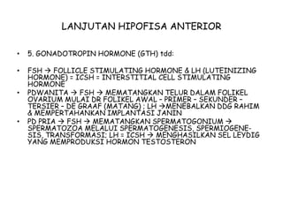 LANJUTAN HIPOFISA ANTERIOR
• 5. GONADOTROPIN HORMONE (GTH) tdd:
• FSH  FOLLICLE STIMULATING HORMONE & LH (LUTEINIZING
HORMONE) = ICSH = INTERSTITIAL CELL STIMULATING
HORMONE
• PDWANITA  FSH  MEMATANGKAN TELUR DALAM FOLIKEL
OVARIUM MULAI DR FOLIKEL AWAL – PRIMER – SEKUNDER –
TERSIER – DE GRAAF (MATANG) ; LH MENEBALKAN DDG RAHIM
& MEMPERTAHANKAN IMPLANTASI JANIN
• PD PRIA  FSH  MEMATANGKAN SPERMATOGONIUM 
SPERMATOZOA MELALUI SPERMATOGENESIS, SPERMIOGENE-
SIS, TRANSFORMASI; LH = ICSH  MENGHASILKAN SEL LEYDIG
YANG MEMPRODUKSI HORMON TESTOSTERON
 