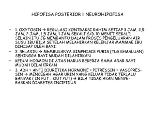 HIPOFISA POSTERIOR = NEUROHIPOFISA
• 1. OXYTOSIN  REGULASI KONTRAKSI RAHIM SETIAP 3 JAM, 2,5
JAM, 2 JAM, 1,5 JAM, 1 JAM SEKALI S/D 10 MENIT SEKALI;
SELAIN ITU JG MEMBANTU DALAM PROSES PENGELUARAN AIR
SUSU IBU BILA SETELAH MELAHIRKAN KELENJAR MAMMAE IBU
DIHISAP OLEH BAYI
• 2. RELAXIN  MEMBUKANYA SIMPHISIS PUBIS (TLG KEMALUAN)
SEHINGGA BAYI MUDAH DILAHIRKAN
• KEDUA HORMON DI ATAS HARUS BEKERJA SAMA AGAR BAYI
MUDAH DILAHIRKAN
• 3. ADH = ANTI DIURETIKA HORMONE = PITRESSIN = VASOPRES-
SIN  MENCEGAH AGAR URIN YANG KELUAR TIDAK TERLALU
BANYAK ( IN PUT = OUT PUT)  BILA TIDAK AKAN MENYE-
BABKAN DIABETES INCIPIDUS
 