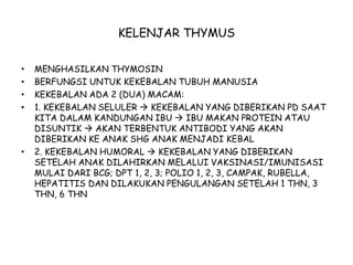 KELENJAR THYMUS
• MENGHASILKAN THYMOSIN
• BERFUNGSI UNTUK KEKEBALAN TUBUH MANUSIA
• KEKEBALAN ADA 2 (DUA) MACAM:
• 1. KEKEBALAN SELULER  KEKEBALAN YANG DIBERIKAN PD SAAT
KITA DALAM KANDUNGAN IBU  IBU MAKAN PROTEIN ATAU
DISUNTIK  AKAN TERBENTUK ANTIBODI YANG AKAN
DIBERIKAN KE ANAK SHG ANAK MENJADI KEBAL
• 2. KEKEBALAN HUMORAL  KEKEBALAN YANG DIBERIKAN
SETELAH ANAK DILAHIRKAN MELALUI VAKSINASI/IMUNISASI
MULAI DARI BCG; DPT 1, 2, 3; POLIO 1, 2, 3, CAMPAK, RUBELLA,
HEPATITIS DAN DILAKUKAN PENGULANGAN SETELAH 1 THN, 3
THN, 6 THN
 