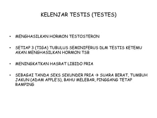 KELENJAR TESTIS (TESTES)
• MENGHASILKAN HORMON TESTOSTERON
• SETIAP 3 (TIGA) TUBULUS SEMINIFERUS DLM TESTIS KETEMU
AKAN MENGHASILKAN HORMON TSB
• MENINGKATKAN HASRAT LIBIDO PRIA
• SEBAGAI TANDA SEKS SEKUNDER PRIA  SUARA BERAT, TUMBUH
JAKUN (ADAM APPLE’S), BAHU MELEBAR, PINGGANG TETAP
RAMPING
 