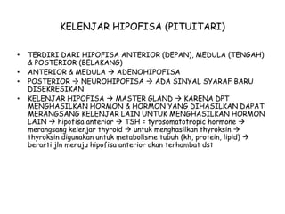 KELENJAR HIPOFISA (PITUITARI)
• TERDIRI DARI HIPOFISA ANTERIOR (DEPAN), MEDULA (TENGAH)
& POSTERIOR (BELAKANG)
• ANTERIOR & MEDULA  ADENOHIPOFISA
• POSTERIOR  NEUROHIPOFISA  ADA SINYAL SYARAF BARU
DISEKRESIKAN
• KELENJAR HIPOFISA  MASTER GLAND  KARENA DPT
MENGHASILKAN HORMON & HORMON YANG DIHASILKAN DAPAT
MERANGSANG KELENJAR LAIN UNTUK MENGHASILKAN HORMON
LAIN  hipofisa anterior  TSH = tyrosomatotropic hormone 
merangsang kelenjar thyroid  untuk menghasilkan thyroksin 
thyroksin digunakan untuk metabolisme tubuh (kh, protein, lipid) 
berarti jln menuju hipofisa anterior akan terhambat dst
 