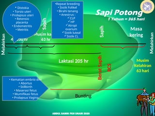 Distokia Sapi ENDOKRIN DAN GEL FOLIKEL SKLS REPRO NORMAL.ppt