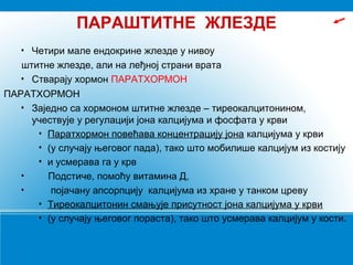 ПАРАШТИТНЕ ЖЛЕЗДЕ
• Четири мале ендокрине жлезде у нивоу
штитне жлезде, али на леђној страни врата
• Стварају хормон ПАРАТХОРМОН
ПАРАТХОРМОН
• Заједно са хормоном штитне жлезде – тиреокалцитонином,
учествује у регулацији јона калцијума и фосфата у крви
• Паратхормон повећава концентрацију јона калцијума у крви
• (у случају његовог пада), тако што мобилише калцијум из костију
• и усмерава га у крв
• Подстиче, помоћу витамина Д,
• појачану апсорпцију калцијума из хране у танком цреву
• Тиреокалцитонин смањује присутност јона калцијума у крви
• (у случају његовог пораста), тако што усмерава калцијум у кости.
 