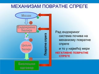 МЕХАНИЗАМ ПОВРАТНЕ СПРЕГЕ
Рад ендокриног
система почива на
механизму повратне
спреге
и то у највећој мери
НЕГАТИВНЕ ПОВРАТНЕ
СПРЕГЕ
Мозак
Ендокрине
ћелије
Циљне
ћелије
Биолошки
одговор
Повратнаспрега
 