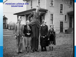 POVEĆAN LUČENJE STH
GIGANTIZAM
 