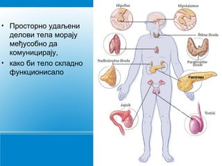 • Просторно удаљени
делови тела морају
међусобно да
комуницирају,
• како би тело складно
функционисало
 