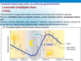 fiziološki faktori koja utiču na sekreciju glukokrtikoida:
1.normalni cirkadijalni ritam
2 stres.
Nivo kortizola ne ostaje stalan tokom normalnog 24 satnog ciklusa budnosti i spavanja.
Pokazuje cirkadijalni ritam sa najvećim nivoom u ranim jutarnjim satima i smanjenjem tokom
noći
Promene dnevnih aktivnosti, ritma spavanja i budnosti mogu promijeniti vrhunac lučenja što
ukzuje da nervni signali imaju značajnu ulogu u regulaciji glukokrtikoidne sekrecije.
 