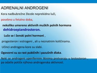 ADRENALNI ANDROGENI
Kora nadbubrežne žlezde neprekidno luči,
posebno u fetalno doba,
nekoliko umereno aktivnih muških polnih hormona
dehidroepiandrosteron.
Luče se i ženski polni hormoni ,
progesteron i estrogeni , ali u neznatnim količinama.
Učinci androgena kore su slabi.
Ogovorni su za rast pubičnih i pazušnih dlaka.
Neki se androgeni uperifernim tkivima pretvaraju u testosteron ,
pa odatle potiče njihova androgenska aktivnost.
 