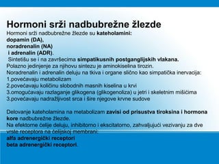 Hormoni srži nadbubrežne žlezde
Hormoni srži nadbubrežne žlezde su kateholamini:
dopamin (DA),
noradrenalin (NA)
i adrenalin (ADR).
Sintetišu se i na završecima simpatikusnih postganglijskih vlakana.
Polazno jedinjenje za njihovu sintezu je aminokiselina tirozin.
Noradrenalin i adrenalin deluju na tkiva i organe slično kao simpatička inervacija:
1.povećavaju metabolizam
2.povećavaju količinu slobodnih masnih kiselina u krvi
3.omogućavaju razlaganje glikogena (glikogenoliza) u jetri i skeletnim mišićima
3.povećavaju nadražljivost srca i šire njegove krvne sudove
Delovanje kateholamina na metabolizam zavisi od prisustva tiroksina i hormona
kore nadbubrežne žlezde.
Na efektorne ćelije deluju, inhibitorno i ekscitatorno, zahvaljujući vezivanju za dve
vrste receptora na ćelijskoj membrani:
alfa adrenergički receptori
beta adrenergički receptori.
 
