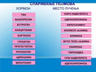 TRH
КОРТИЗОЛ
ГЛУКАГОН
ПРОГЕСТЕРОН
ПРОЛАКТИН
ВАЗОПРЕСИН
АДРЕНАЛИН
МЕЛАТОНИН
ЕСТРОГЕН
КАЛЦИТОНИН
КОРА НАДБУБРЕГА
ЕПИФИЗА
ЖУТО ТЕЛО ЈАЈНИКА
ПАНКРЕАС
ТИРЕОИДЕА
АДЕНОХИПОФИЗА
СРЖ НАДБУБРЕГА
АДЕНОХИПОФИЗА
ХИПОТАЛАМУС
ФОЛИКУЛ ЈАЈНИКА
СПАРИВАЊЕ ПОЈМОВА
ХОРМОН МЕСТО ЛУЧЕЊА
 