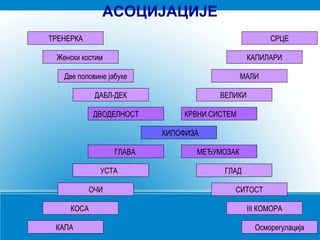 ХИПОФИЗА
ДВОДЕЛНОСТ КРВНИ СИСТЕМ
ГЛАВА МЕЂУМОЗАК
ДАБЛ-ДЕК ВЕЛИКИ
УСТА ГЛАД
Две половине јабуке МАЛИ
ОЧИ СИТОСТ
Женски костим КАПИЛАРИ
КОСА III КОМОРА
ТРЕНЕРКА СРЦЕ
КАПА Осморегулација
АСОЦИЈАЦИЈЕ
 