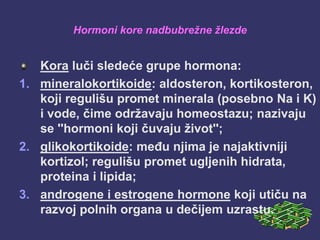 Hormoni kore nadbubrežne žlezde
Kora luči sledeće grupe hormona:
1. mineralokortikoide: aldosteron, kortikosteron,
koji regulišu promet minerala (posebno Na i K)
i vode, čime održavaju homeostazu; nazivaju
se ''hormoni koji čuvaju život'';
2. glikokortikoide: među njima je najaktivniji
kortizol; regulišu promet ugljenih hidrata,
proteina i lipida;
3. androgene i estrogene hormone koji utiču na
razvoj polnih organa u dečijem uzrastu.
 