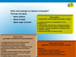 Oдговор на стрес
Kако тело реагује на стресне ситуације?
Постоје три фазе
• фаза узбуне,
• фаза отпора
• фаза пада система
*Фаза узбуне
моментална, краткотрајна реакција на кризу
1. повећано енергетско искоришћење у свим
ћелијама тела
2. мобилизација гликогенских и липидних резерви
3. утишавање активности црева и мокраћне бешике
4. промена у протоку периферне и централне крви
5. повећано знојење
6. убрзање рада срца и размене гасова
*Фаза отпора
дуготрајнo метаболичкo прилагођавање
1. мобилизација преосталих извора енергије
(ослобађање липида из масног ткива и
аминокиселина из скелетних мишића)
2. одржање складишта глукозе - периферна ткива
(осим нервног) разлажу липиде да би добила
енергију
3. увећање концентрације глукозе у крви (јетра
синтетише глукозу из других угљених хидрата,
аминокиселина и липида)
4. очување воде и соли у телесним течностима
*Фаза пада система
урушавање функција виталних система
Узроци су:
- исцрпљивање липидних резерви
- неспособност стварања глукокортикоида
- отказивање равнотеже електролита
- функционално оштећење виталних органа
 