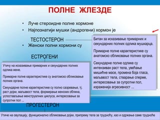ПОЛНЕ ЖЛЕЗДЕ
• Луче стероидне полне хормоне
• Најпознатији мушки (андрогени) хормон је
• Женски полни хормони су
ТЕСТОСТЕРОН
ЕСТРОГЕНИ
Битан за исказивање примарних и
секундарних полних одлика мушкарца.
Примарне полне карактеристике су
анатомско обликовање полних органа.
Секундарне полне одлике су
интензиван раст тела, увећање
мишићне масе, промена боја гласа,
маљавост тела, стварање сперме,
интересовање за супротни пол,
израженија агресивност ...
Утичу на исказивање примарних и секундарних полних
одлика жене.
Примарне полне карактеристике су анатомско обликовање
полних органа.
Секундарне полне карактеристике су полно сазревање, тј.
раст дојки, маљавост тела, формирање женских облина,
успостављање менструалних циклуса, интересовање за
супротни пол ...
Утиче на овулацију, функционално обликовање дојки, припрему тела за трудноћу, као и одржање саме трудноће
ПРОГЕСТЕРОН
 