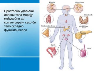 • Просторно удаљени
делови тела морају
међусобно да
комуницирају, како би
тело складно
функционисало
 