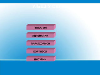 УЉЕЗ У СКУПУ
ГЛУКАГОН
АДРЕНАЛИН
ПАРАТХОРМОН
КОРТИЗОЛ
ИНСУЛИН
 