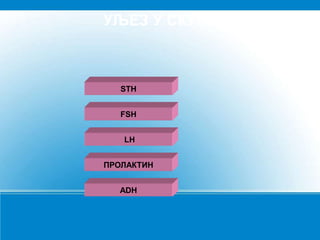 УЉЕЗ У СКУПУ
STH
FSH
LH
ПРОЛАКТИН
ADH
 
