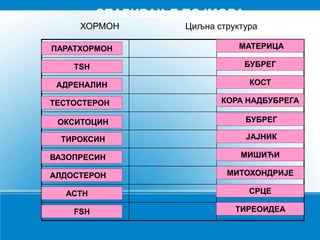 СПАРИВАЊЕ ПОЈМОВА
ХОРМОН Циљна структура
ПАРАТХОРМОН
ОКСИТОЦИН
ТИРОКСИН
ВАЗОПРЕСИН
АЛДОСТЕРОН
TSH
ACTH
FSH
АДРЕНАЛИН
ТЕСТОСТЕРОН
МАТЕРИЦА
БУБРЕГ
ЈАЈНИК
МИШИЋИ
МИТОХОНДРИЈЕ
БУБРЕГ
СРЦЕ
ТИРЕОИДЕА
КОСТ
КОРА НАДБУБРЕГА
 
