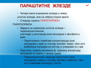 ПАРАШТИТНЕ ЖЛЕЗДЕ
• Четири мале ендокрине жлезде у нивоу
штитне жлезде, али на леђној страни врата
• Стварају хормон ПАРАТХОРМОН
ПАРАТХОРМОН
• Заједно са хормоном штитне жлезде –
тиреокалцитонином,
учествује у регулацији јона калцијума и фосфата у
крви
• Паратхормон повећава концентрацију јона
калцијума у крви (у случају његовог пада), тако што
мобилише калцијум из костију и усмерава га у крв
• Подстиче, помоћу витамина Д, појачану апсорпцију
калцијума из хране у танком цреву
• Тиреокалцитонин смањује присутност јона
калцијума у крви (у случају његовог пораста), тако
што усмерава калцијум у кости.
 