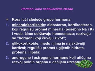 Hormoni kore nadbubrežne žlezde
Kora luči sledeće grupe hormona:
1. mineralokortikoide: aldosteron, kortikosteron,
koji regulišu promet minerala (posebno Na i K)
i vode, čime održavaju homeostazu; nazivaju
se ''hormoni koji čuvaju život'';
2. glikokortikoide: među njima je najaktivniji
kortizol; regulišu promet ugljenih hidrata,
proteina i lipida;
3. androgene i estrogene hormone koji utiču na
razvoj polnih organa u dečijem uzrastu.
 
