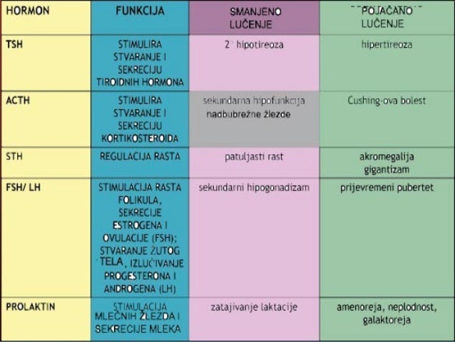 Endokrini sistem ,anatomija i fiziologija