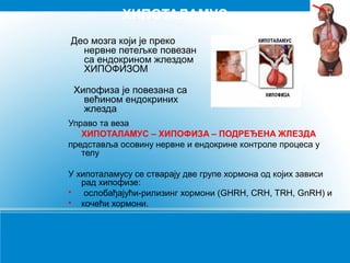 Endokrini sistem | PPT