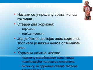 ШТИТНА ЖЛЕЗДА




Налази се у пределу врата, испод
гркљана.
Ствара два хормона:
−
−





тироксин
тријодтиронин.

Јод је битни састојак ових хормона,
због чега је важан његов оптималан
унос.
Хормони штитне жлезде
−
−

подстичу метаболизам свих ћелија
повећавајући потрошњу кисеоника,
битни су за одржање сталне телесне

 