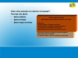 Endokrini sistem | PPT