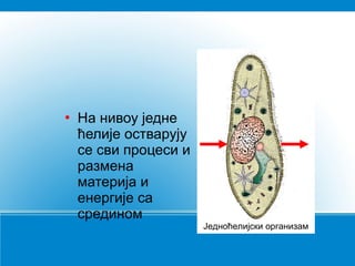 

На нивоу једне
ћелије остварују
се сви процеси и
размена
материја и
енергије са
средином

Једноћелијски организам

 
