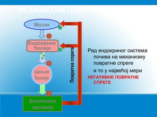 МЕХАНИЗАМ ПОВРАТНЕ СПРЕГЕ

Ендокрине
ћелије

Циљне
ћелије

Биолошки
одговор

Повратна спрега

Мозак

Рад ендокриног система
почива на механизму
повратне спреге
и то у највећој мери
НЕГАТИВНЕ ПОВРАТНЕ
СПРЕГЕ

 