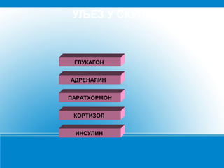 УЉЕЗ У СКУПУ

ГЛУКАГОН
АДРЕНАЛИН
ПАРАТХОРМОН
КОРТИЗОЛ
ИНСУЛИН

 