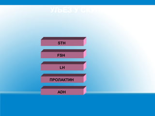 УЉЕЗ У СКУПУ

STH
FSH
LH
ПРОЛАКТИН
ADH

 
