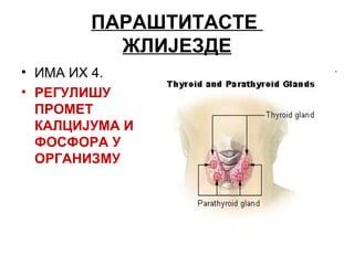 ПАРАШТИТАСТЕ
ЖЛИЈЕЗДЕ
• ИМА ИХ 4.
• РЕГУЛИШУ
ПРОМЕТ
КАЛЦИЈУМА И
ФОСФОРА У
ОРГАНИЗМУ
 