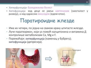 • Хиперфункција- Базедовљева болест
• Хипофункција- код деце се јавља кретенизам (заосталост у
развоју), а код одраслих микседем (едем=оток).
Паратироидне жлезде
• Има их четири, по једна на сваком краку штитасте жлезде.
• Луче паратхормон, који уз помоћ калцитонина и витамина Д
контролише метаболизам Ca, Mg и F.
• Поремаћаји: хиперфункција (каменац у бубрегу);
хипофункција (депресија).
11
 