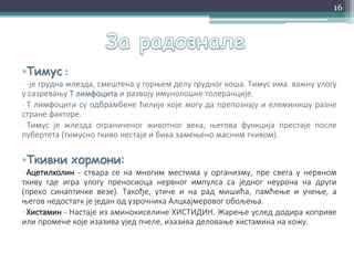 •Тимус :
- -је грудна жлезда, смештена у горњем делу грудног коша. Тимус има важну улогу
у сазревању Т лимфоцита и развоју имунолошке толеранције.
- Т лимфоцити су одбрамбене ћелије које могу да препознају и елеминишу разне
стране факторе.
- Тимус је жлезда ограниченог животног века, његова функција престаје после
пубертета (тимусно ткиво нестаје и бива замењено масним ткивом).
•Ткивни хормони:
−Ацетилхолин - ствара се на многим местима у организму, пре свега у нервном
ткиву где игра улогу преносиоца нервног импулса са једног неурона на други
(преко синаптичке везе). Такође, утиче и на рад мишића, памћење и учење, а
његов недостатк је један од узрочника Алцхајмеровог обољења.
−Хистамин - Настаје из аминокиселине ХИСТИДИН. Жарење услед додира коприве
или промене које изазива ујед пчеле, изазива деловање хистамина на кожу.
16
 